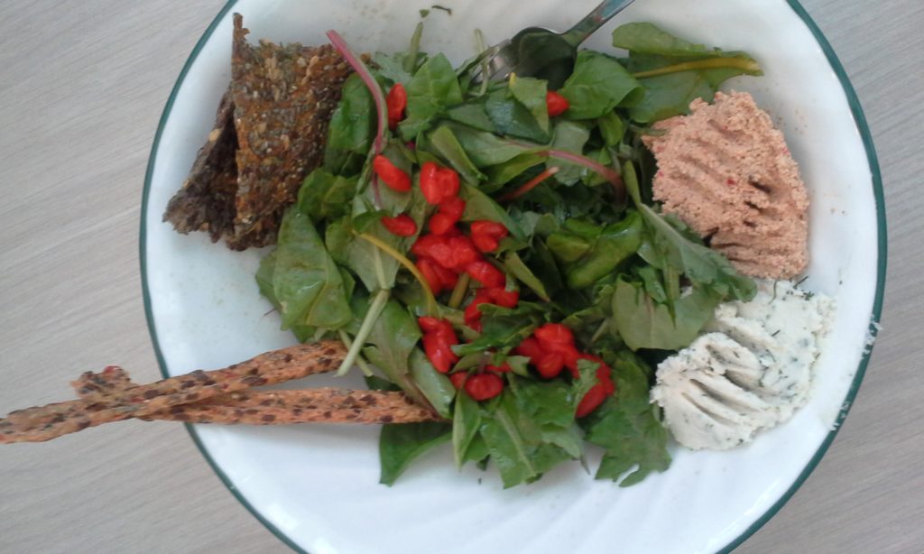 Raw Snack or Meal Raw Vegan Food Classes Edmonton